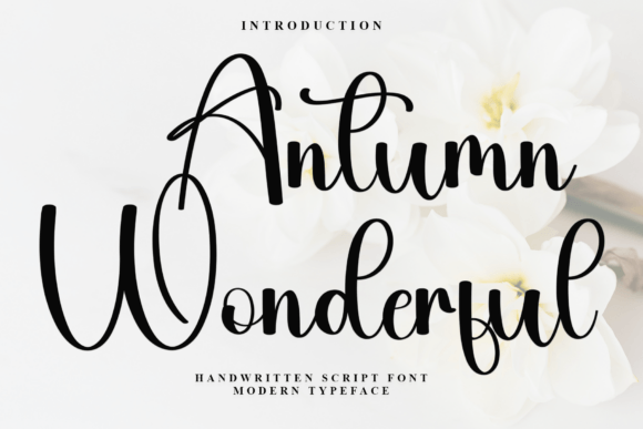 Antumn Wonderful Font for Handmade Brands
