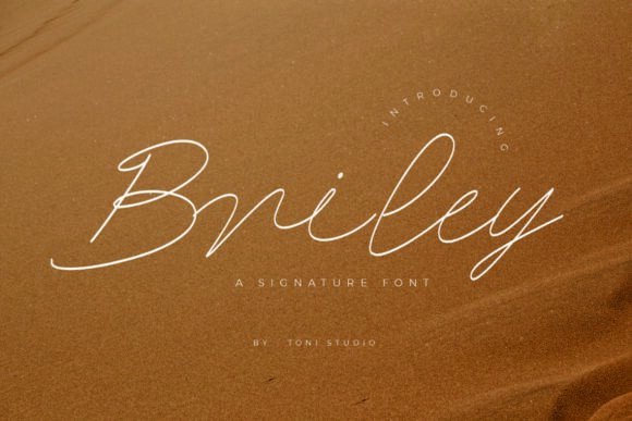 Briley: The Elegant Script Font for Makers