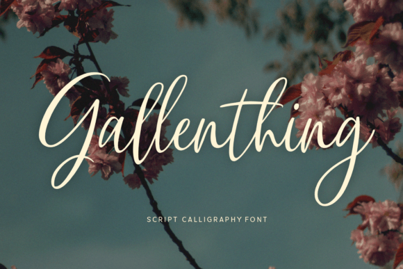 Gallenthing Font: Elegant Script for Designers